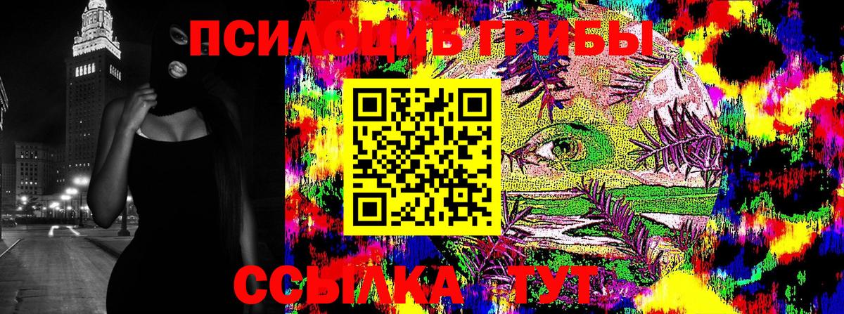 где купить наркоту  Вход с VPN  Междуреченск  Галлюциногенные грибы Magic Shrooms 