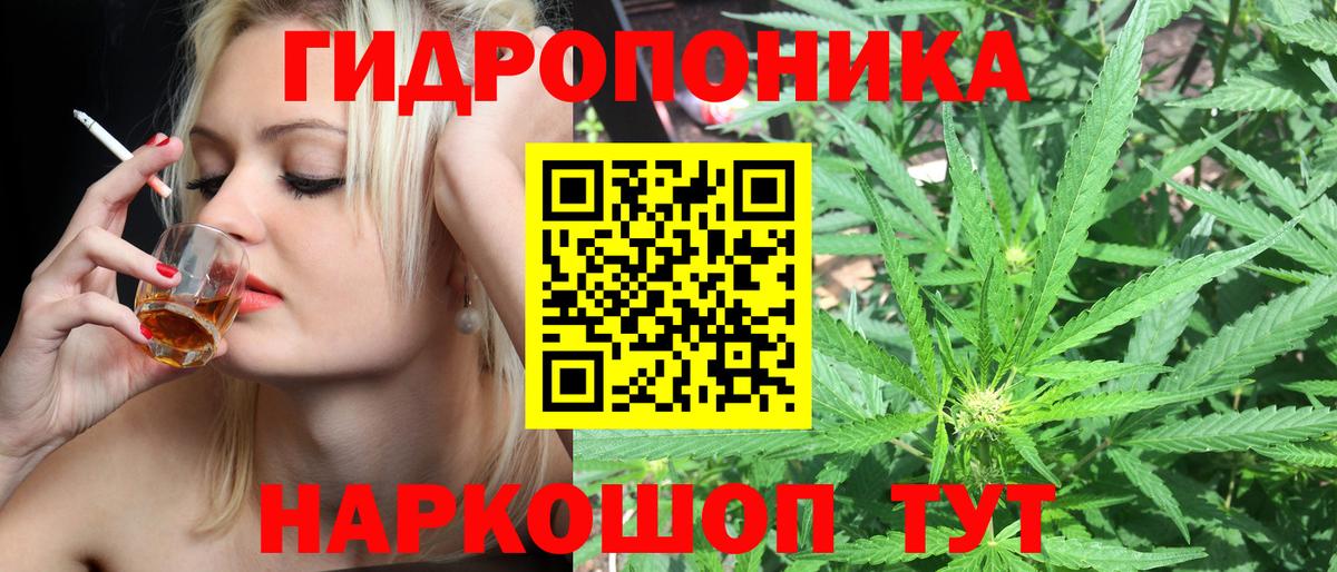 Шишки марихуана гибрид Междуреченск